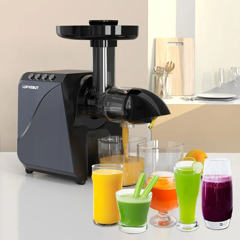 BPA Free Electric Automatic 5 in 1 Household Slow Masticating Vegetable Fruit Juicer Machine Multi-function juice Extractor