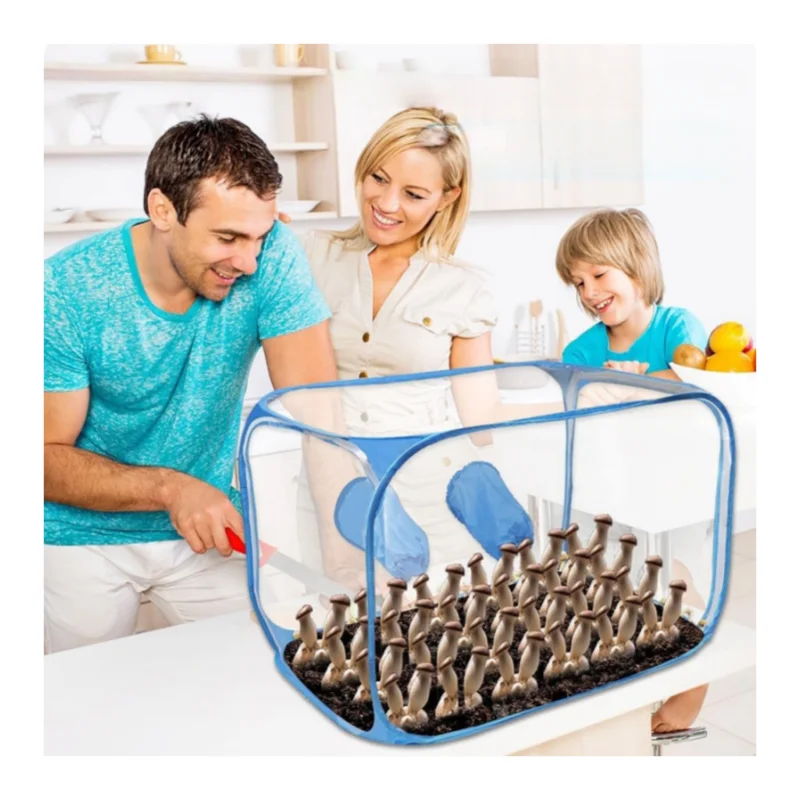 صديقة للبيئة بسهولة تجميعها 79X51X51cm صناديق الهواء لا تزال صندوق القفازات مجموعة معدات نمو الفطر المختبرية