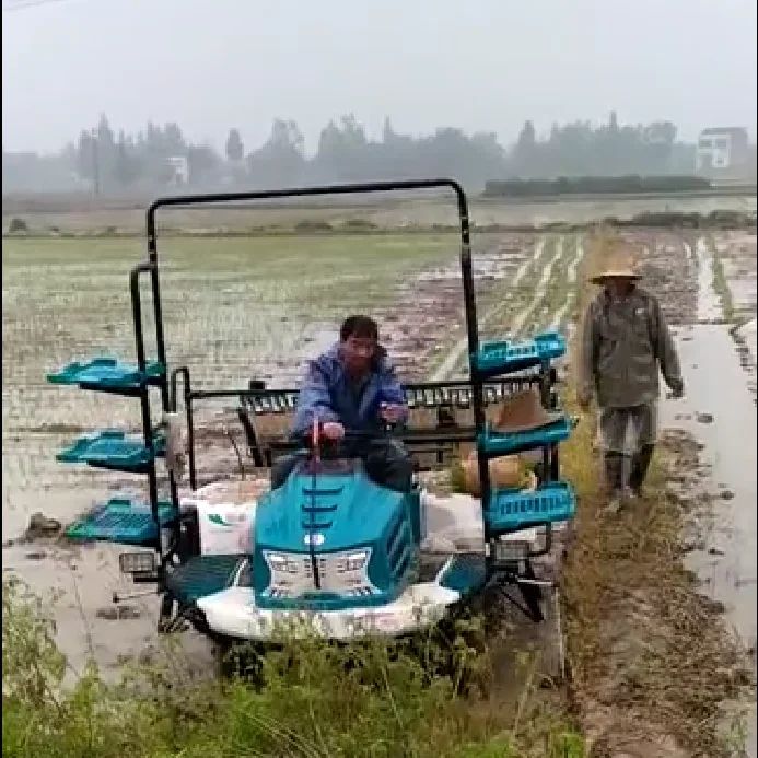 Automatic Operated Ride Type 4 Rows ISO Certificates Paddy Rice Transplanter With Good Price