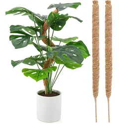 Suporte de Planta com Laços de Jardim, Musgo Pole para Plantas de Escalada Indoor, Trepadeiras para Crescer, 60, 70, 80, 90, 100, 110, 120cm, 1Pc