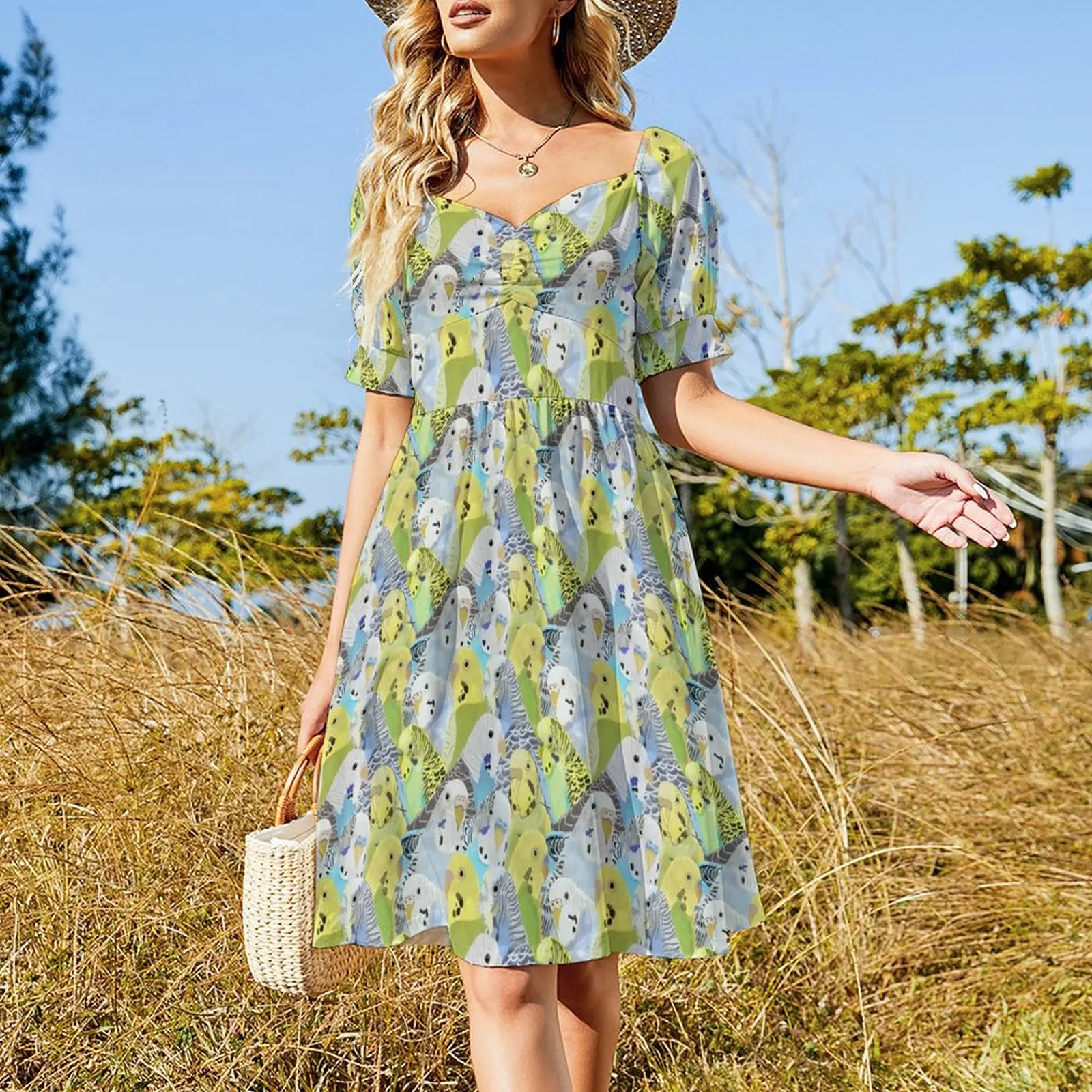 Budgie Parakeets Sleeveless Dress women's elegant loose dresses fairy dress women's summer dress 2023 Party dresses for women