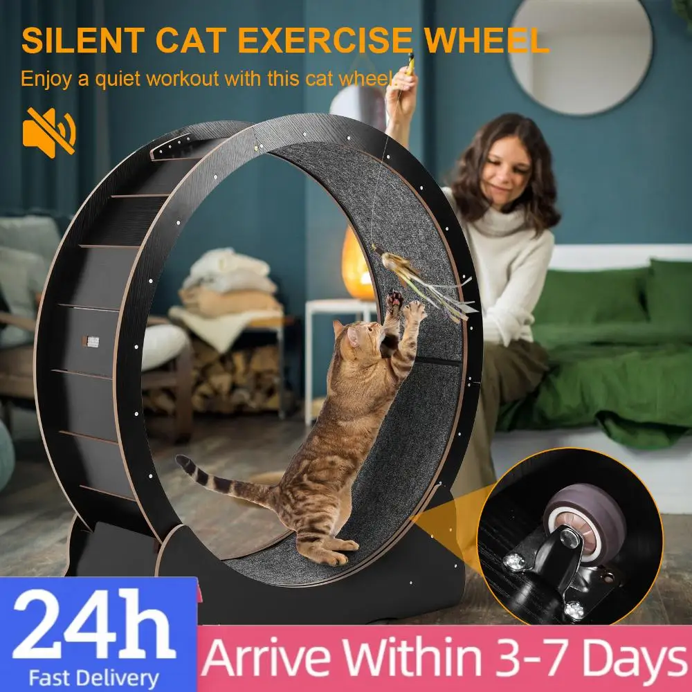 Cat Exercise Wheel …