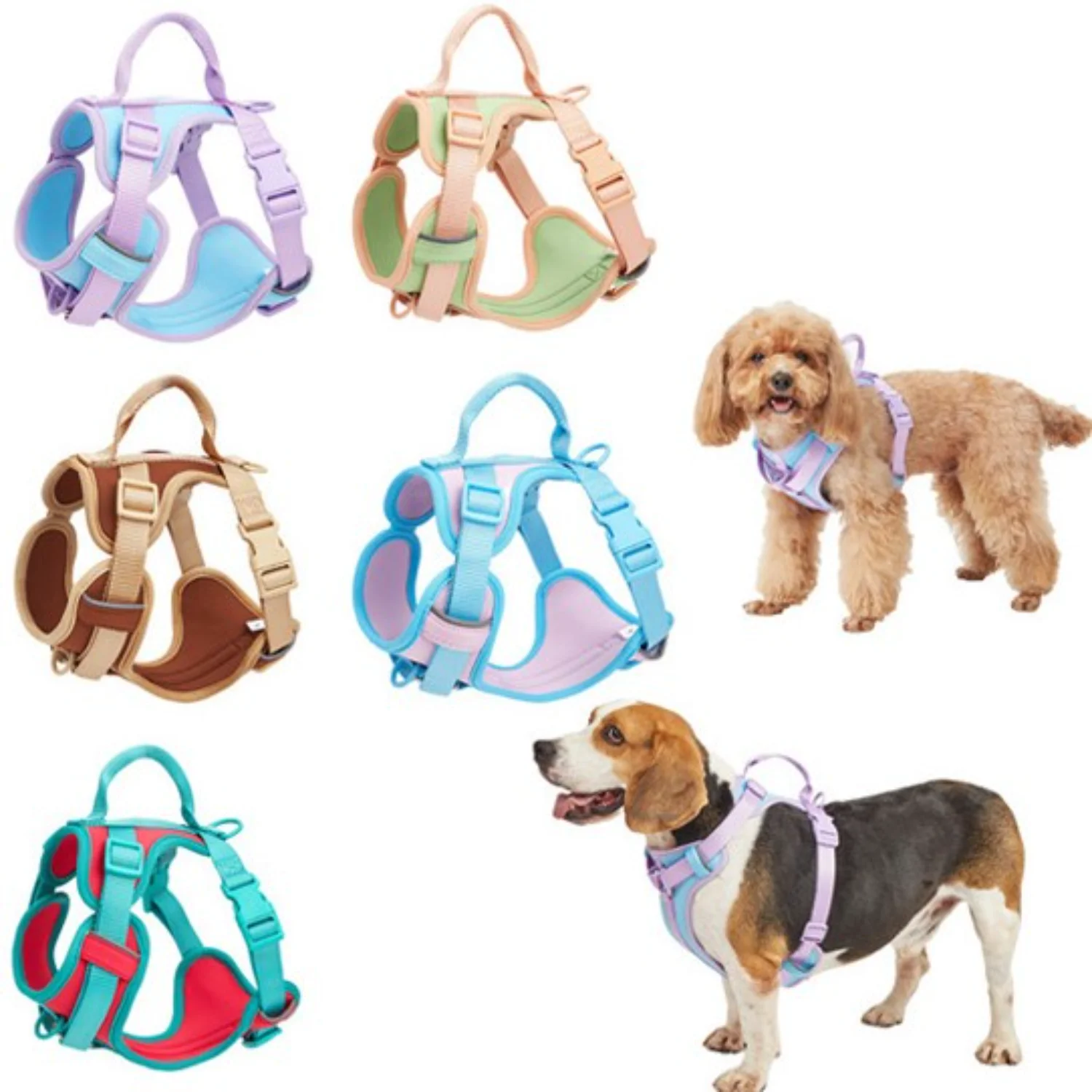 

Stylish Pet Harness - Comfortable & Adjustable for Small to Medium Dogs