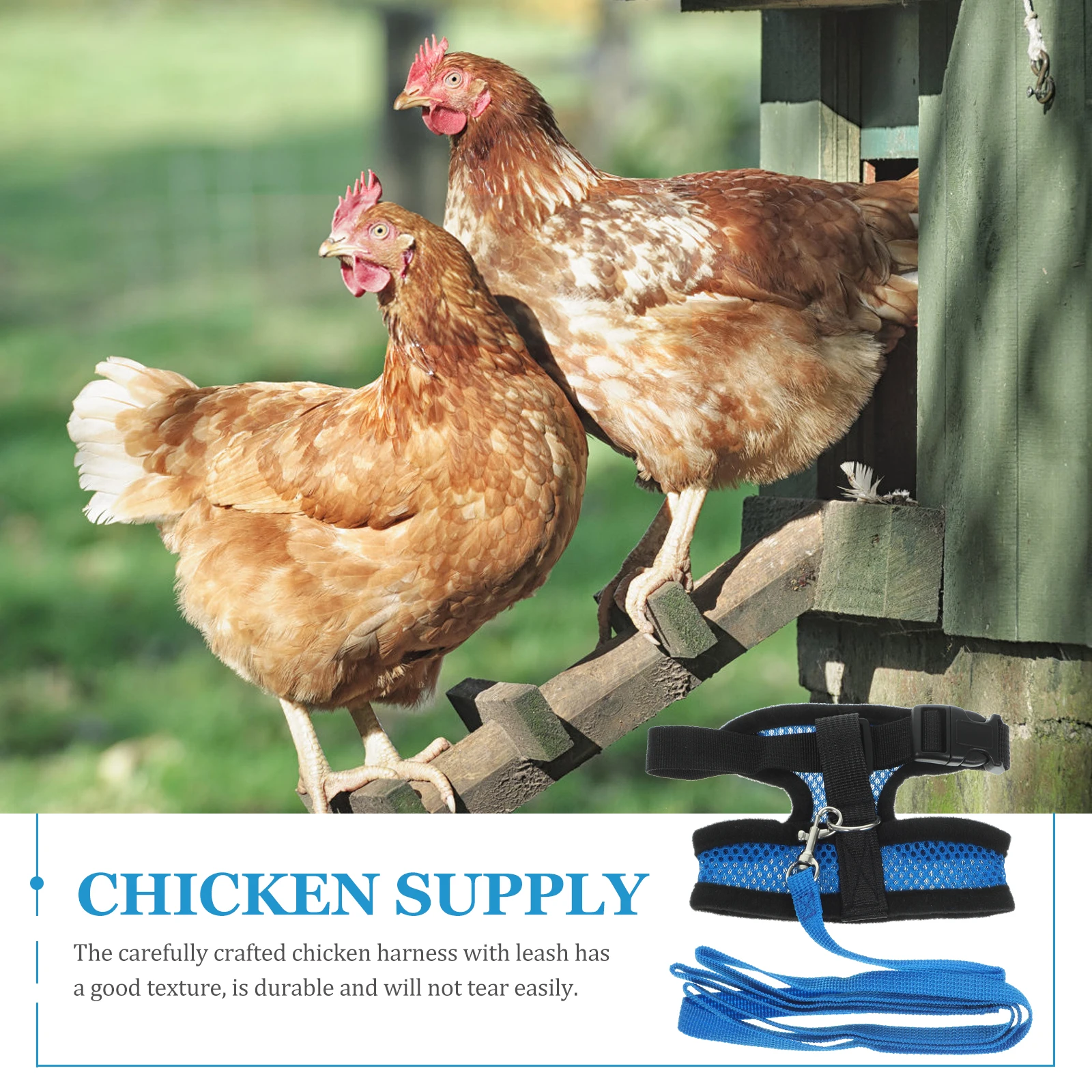 

Chicken Duck Goose Adjustable Breathable Mesh Chest Harness M Blue Size Outdoor Activities Durable Extra Long Leash Easy Carry