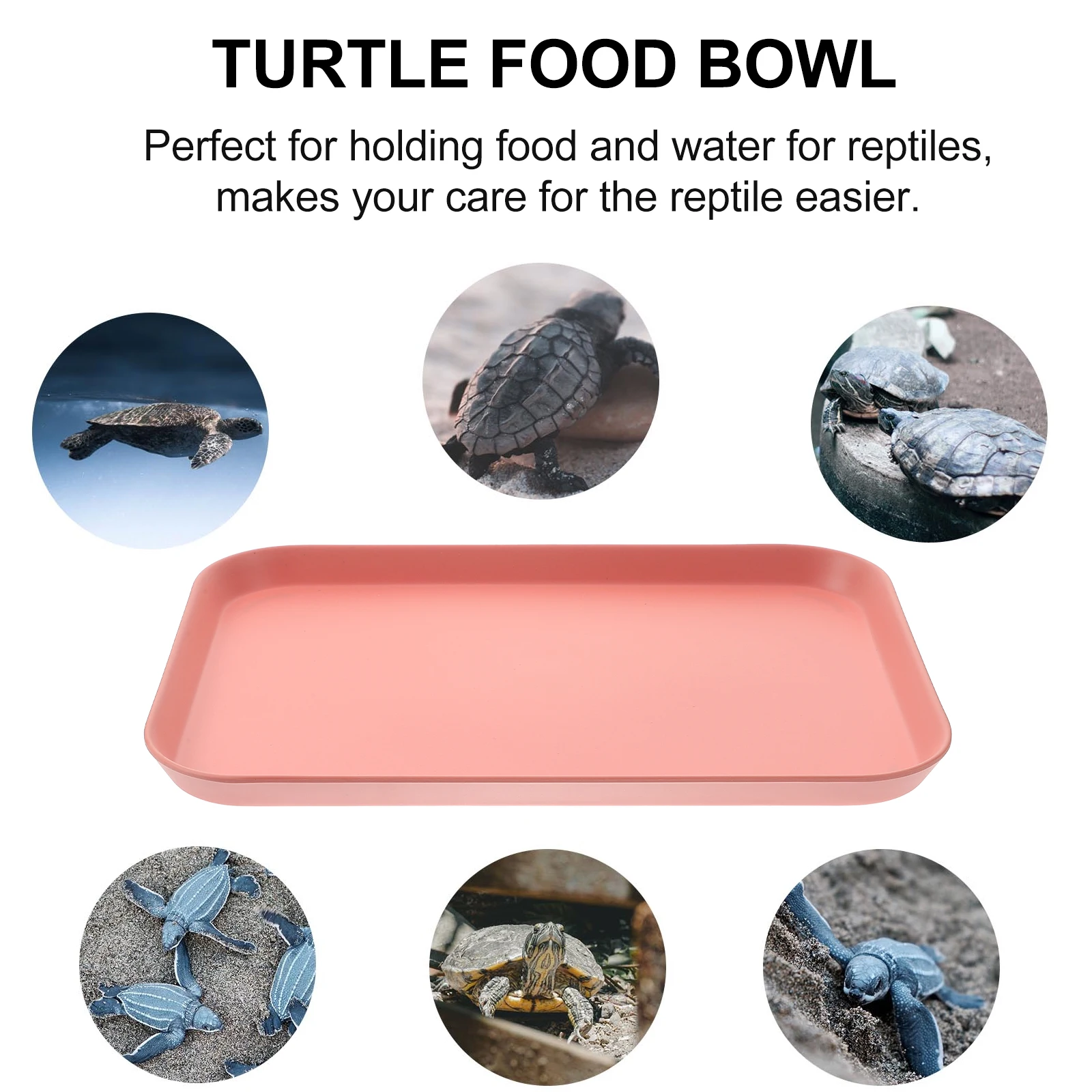 

Reptile Water Bowl Turtle Food Bowl Snake Pet Feeding Dish HighGrade Material SmoothSurface EscapeProof ReptileFeeding