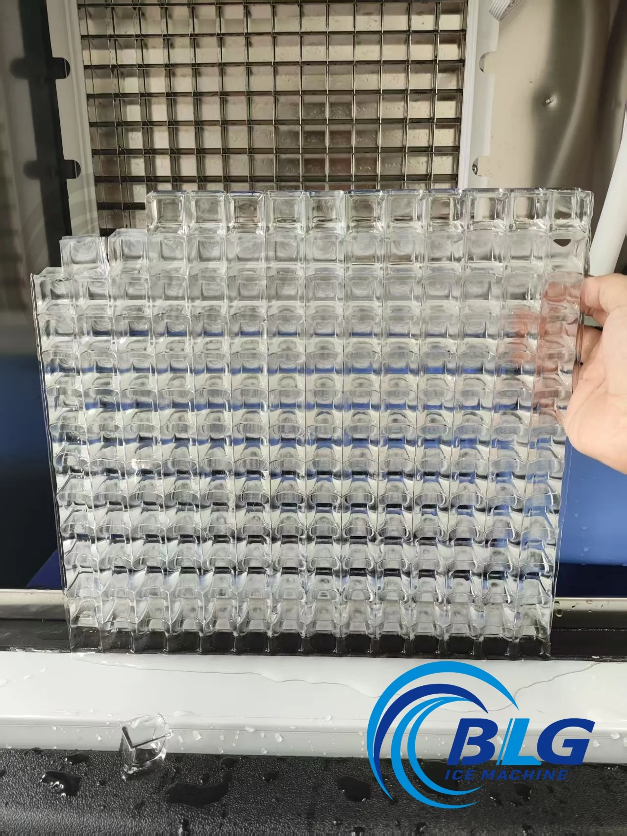 BLG Commercial 100-500kg/Day Cube Maker Hielo Stainless Steel Commercial Automatic Making Machine