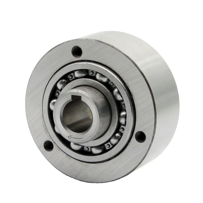 Gfrn 45 Special Roller Bearing One-Way Backstop Clutch From China