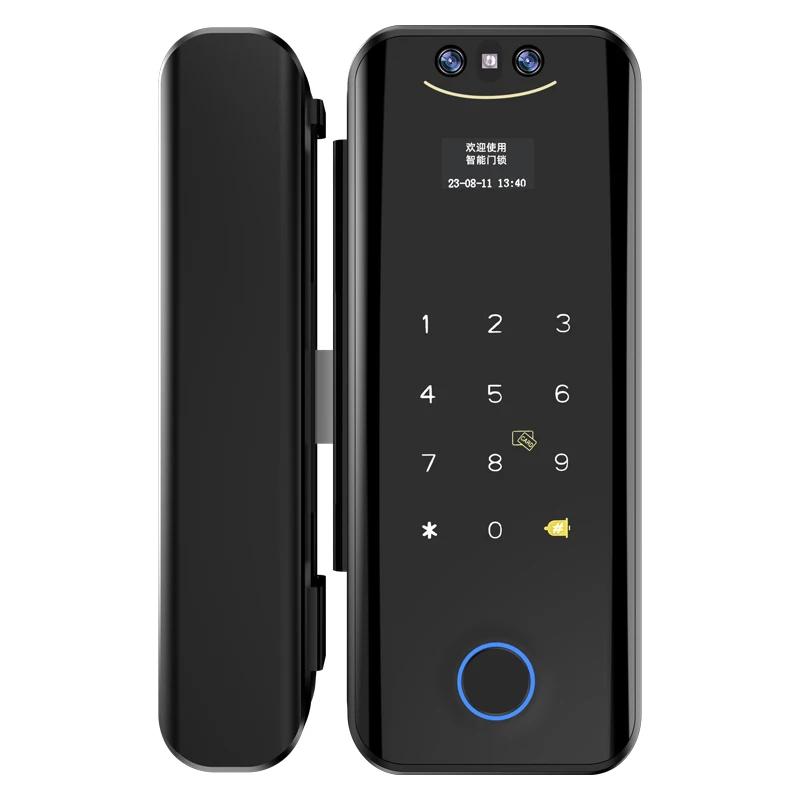 Smart WIFI Tuya Fingerprint Door Lock APP Remote Unlock 3D Facial Recognition Glass Door Lock Biometric Access Control System