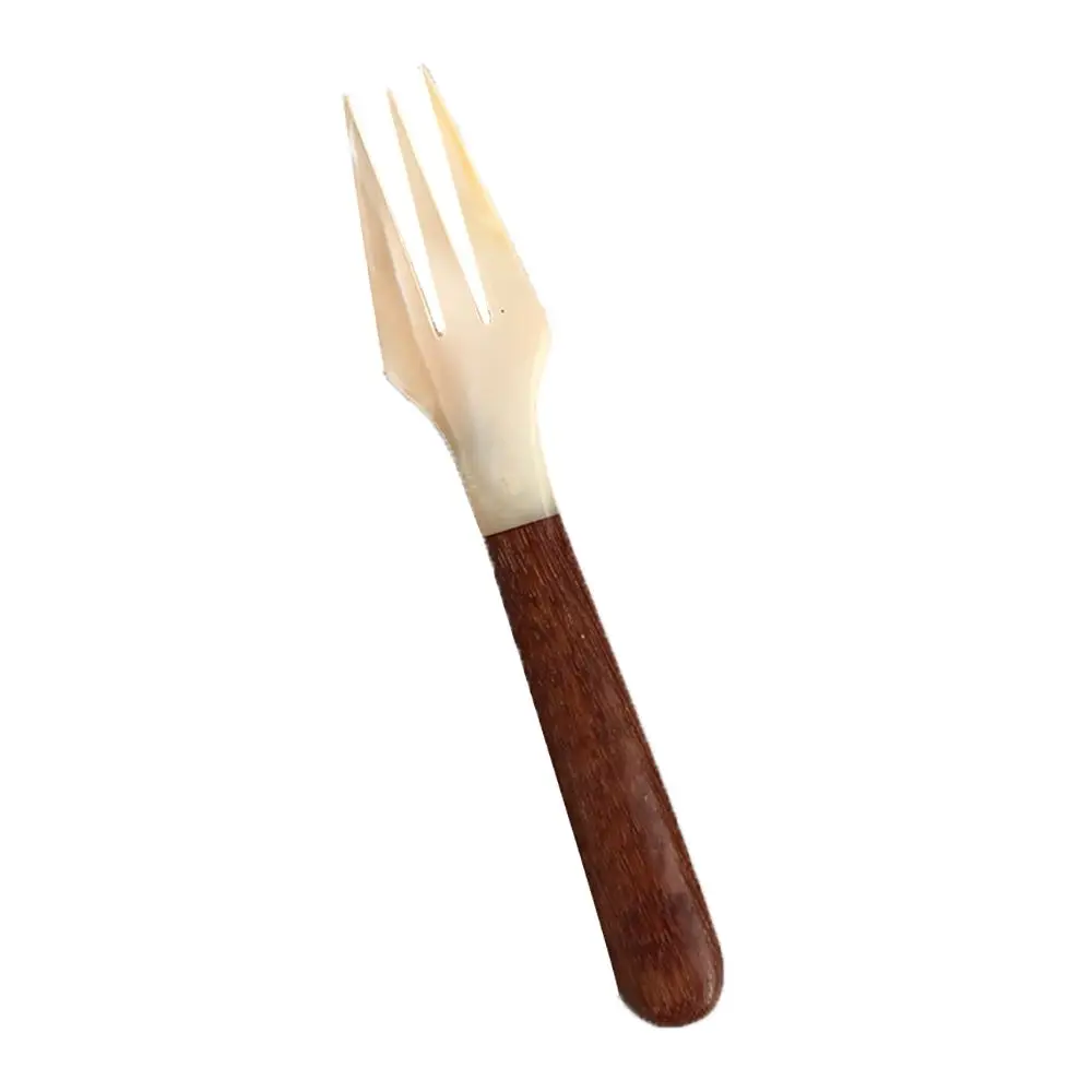 

Creative Home Coffee Scoop Conch Natural Ice Cream Dessert Spoon Teaspoon Shell Spoon Fork