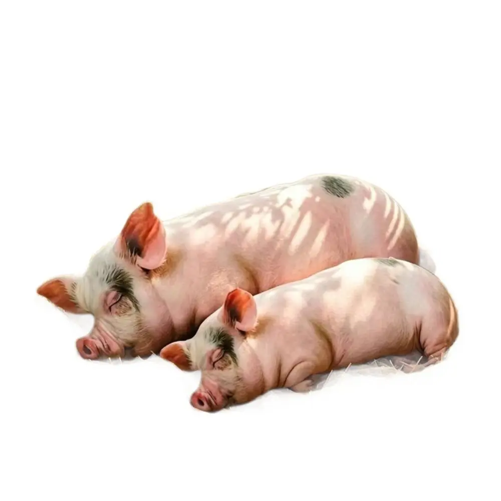 Portable Material Animal Body Pillow PP Cotton Filled 40cm Size Poultry Throw Pillows Soft Texture Cute Design Pig Keychain For