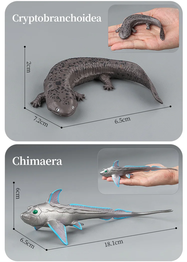 Meeresleben-Tiere-Modell, Actionfiguren-Set – Ozeanfisch, Thunfisch, Segelfisch, Bass, Zacker, Lachs, PVC, Lernspielzeug für Kinder – Detail 18