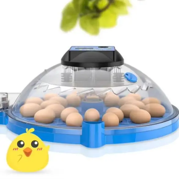 12V/240V Incubator incubator Smart parrot bird egg incubator LCD display 9/12/16/24/36/48 cps