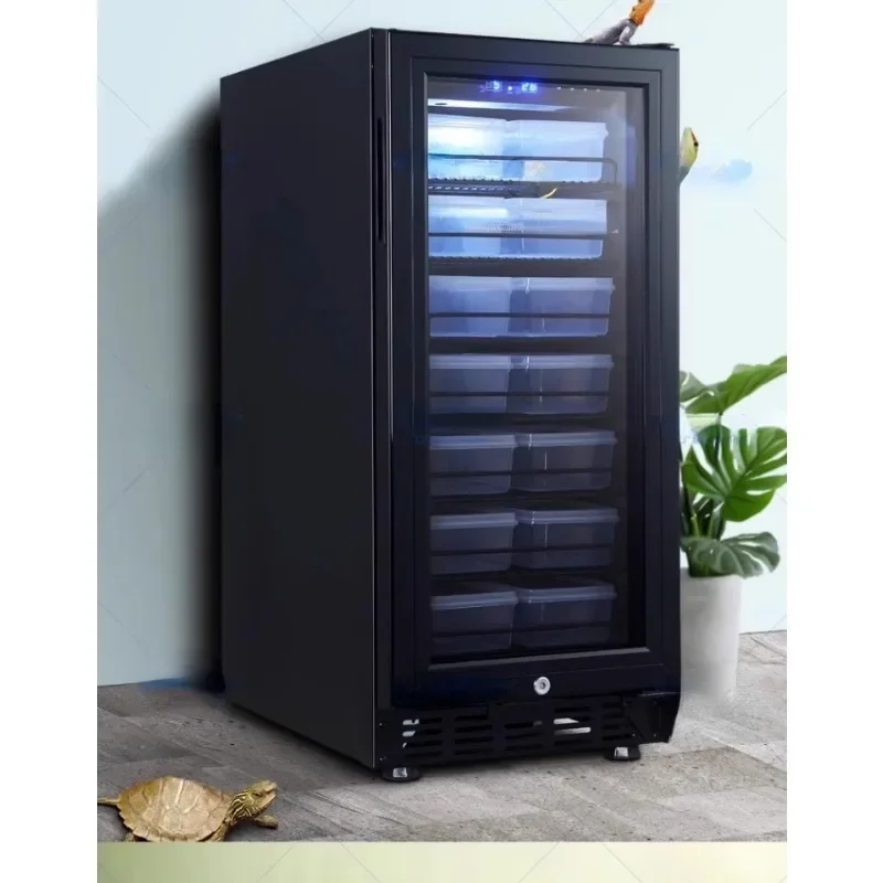 Turtle Hatch Box Maned Lion Guardian Snake Egg Incubator Reptile Ant Beetle Constant Temperature Pet Hibernation