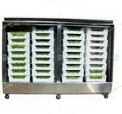 1000kg/Day Commercial Bean Sprout Growing Machine Hydroponic Farming Systems Automatic Organic Fodder Sprout Machine For Sale