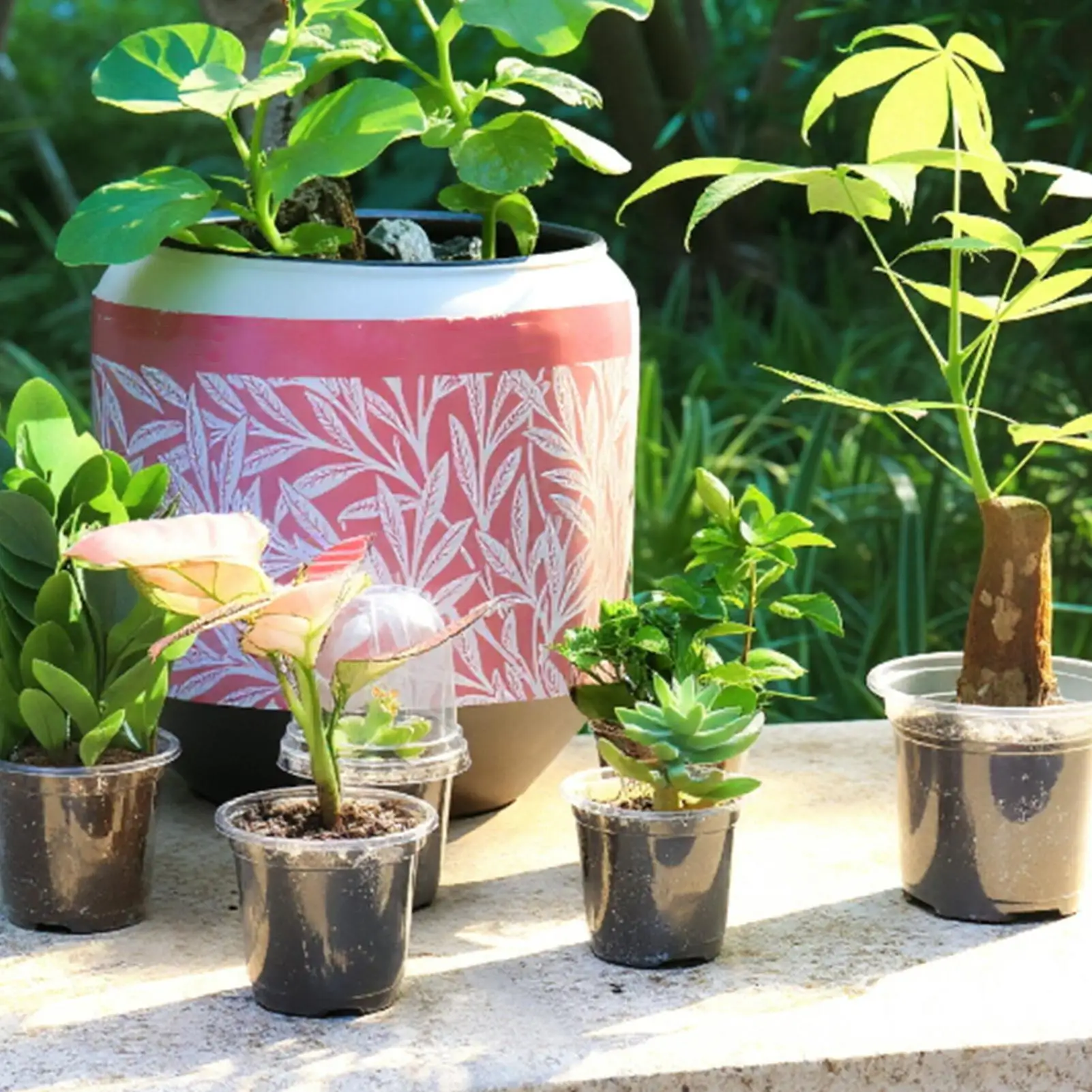 25pcs 5 Sizes DIY Planter Pot Transparent Plastic Round Starting Pot Anti-Deformation Orchid Nursery Container Garden