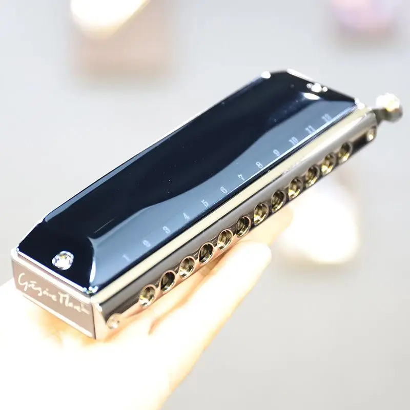 12-Hole harmonica beginner adult new imported