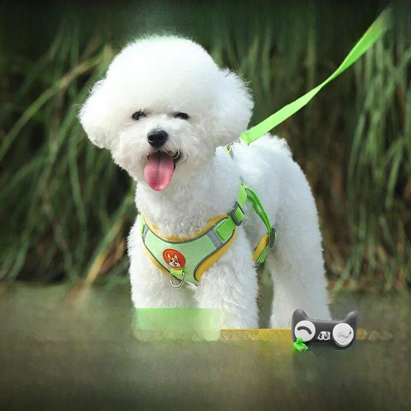 

Популярный поводок-жилет для собак: для прогулок, для маленьких и средних пород, таких как Тедди, Корги, Померанский шпиц, а также для щенков и для ношения на груди.