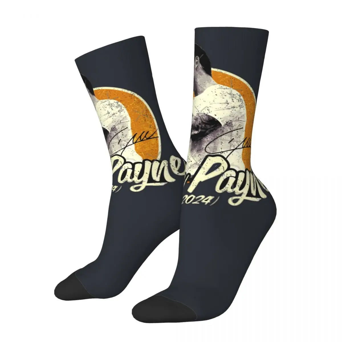 Chaussettes rétro unisexes avec motif imprimé veam Payne pour hommes et femmes, chaussettes d'équipage, Hip Hop, Payne, Harajuku, cadeau pour garçons, site officiel des médicaments