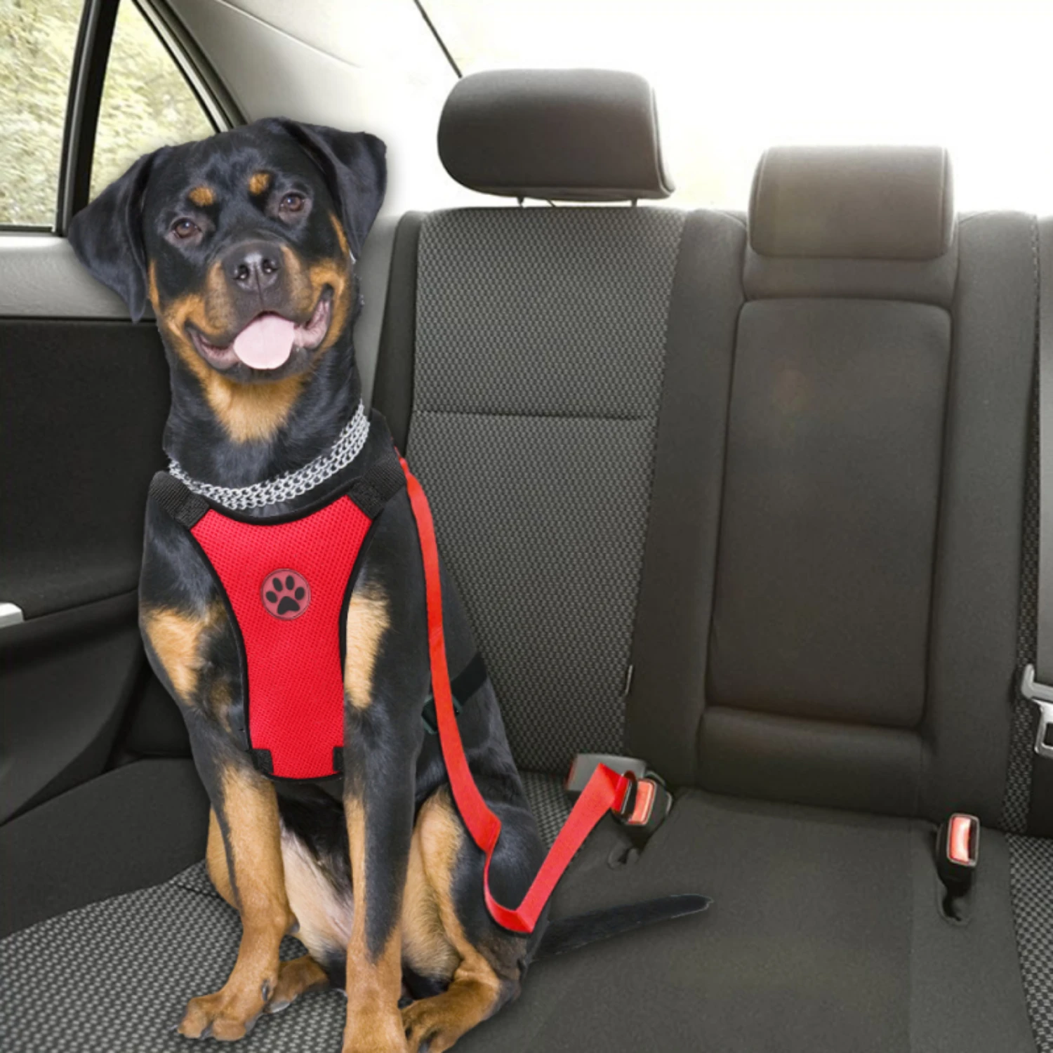 Versatile and comfortable black mesh dog harness - ideal for active adventurers. Adjustable, breathable design with safety belt,