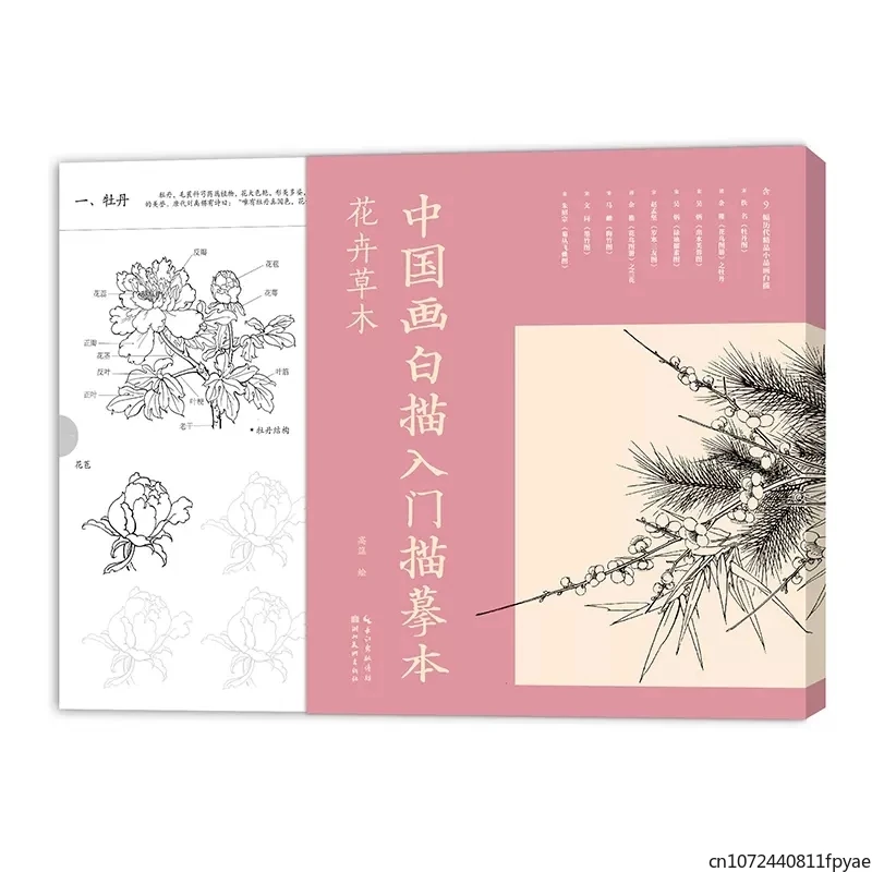 Introduction to Line Drawing in Chinese Painting for Flowers and plants Art Book