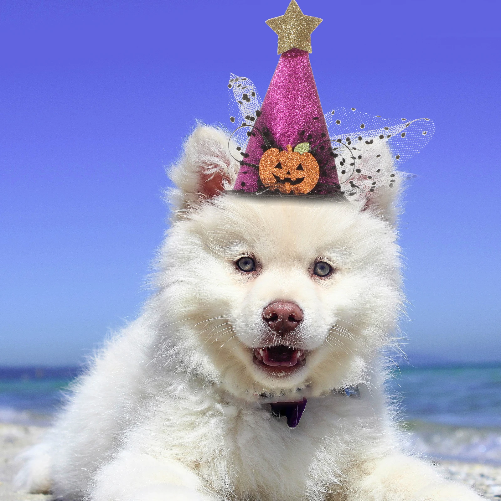 

2 Pcs Pumpkin Hat Headdress Pet Costume Hats for Cats Funny Dog Puppy Polyester