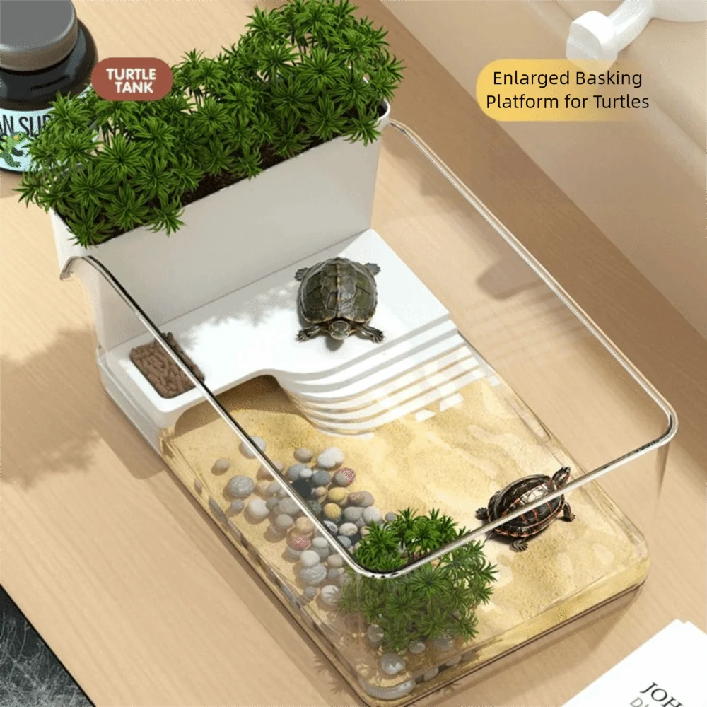 Transparentes Schildkrötenbecken mit Sonnenliegefläche, Kletterbereich, Reptilien-Terrarium, Habitat, ökologische Landschaftsgestaltung, Krabbentank