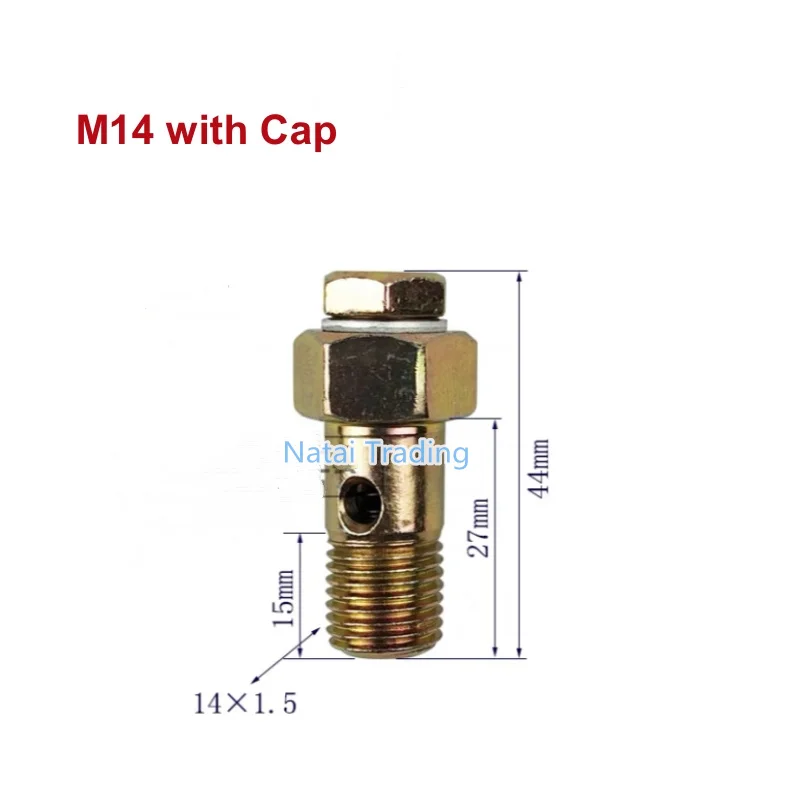 5pcs Diesel Unit Pump Oil Return Valve Screw EUP M14 M12 Hollow Screw with Filter Equal Pressure Relief Valve with Steel Ball