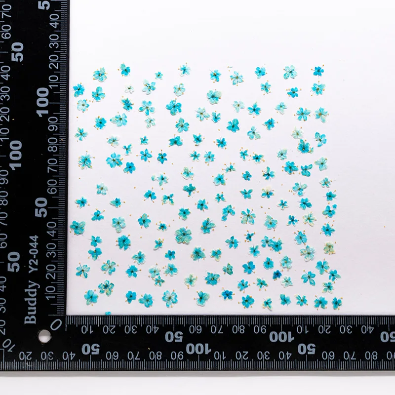 24 Stück, gepresste blaue Trockenblumen aus Spitze für DIY-Harzschmuck, Lesezeichen, Grußkarten, Scrapbooking, Aromatherapie, Kerzen, Bastelzubehör – Detail 13
