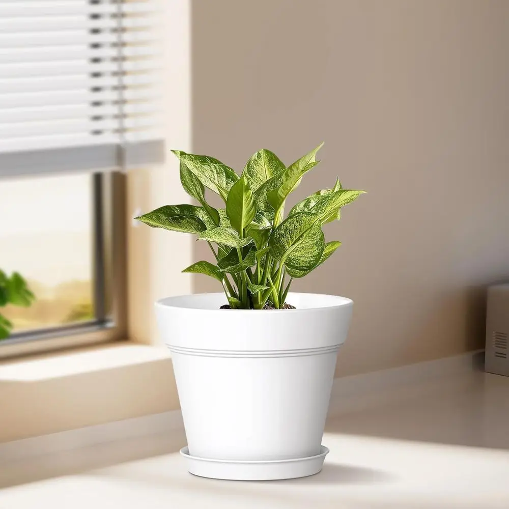 5 Inch Plastic Plant Pots with Drainage and Trays - 6 Pack for Nursery, Indoor or Outdoor Plants, White