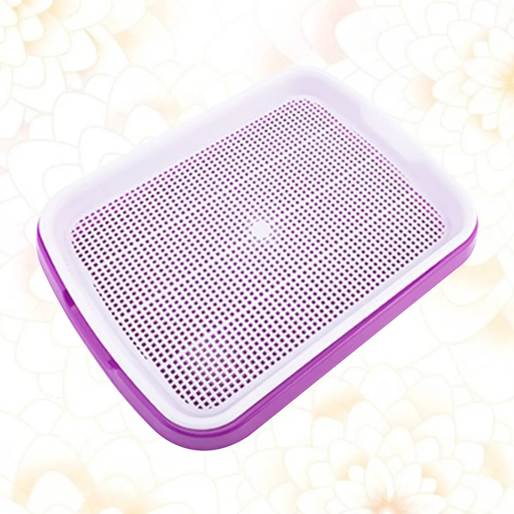 

Контейнер для проращивания без почвы из пищевого полипропилена, 35x26x5 см, фиолетовый, для выращивания и хранения фруктов и овощей