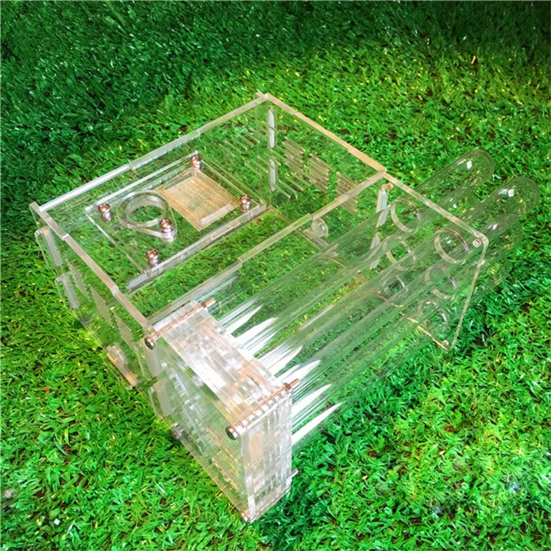 DIY Acrylic Glass Ant Farm with Feeding Area Ant Nest Ants House Factory Workshop Insect 6 Test Tubes Pet Anthill 15*14.5*8.5cm