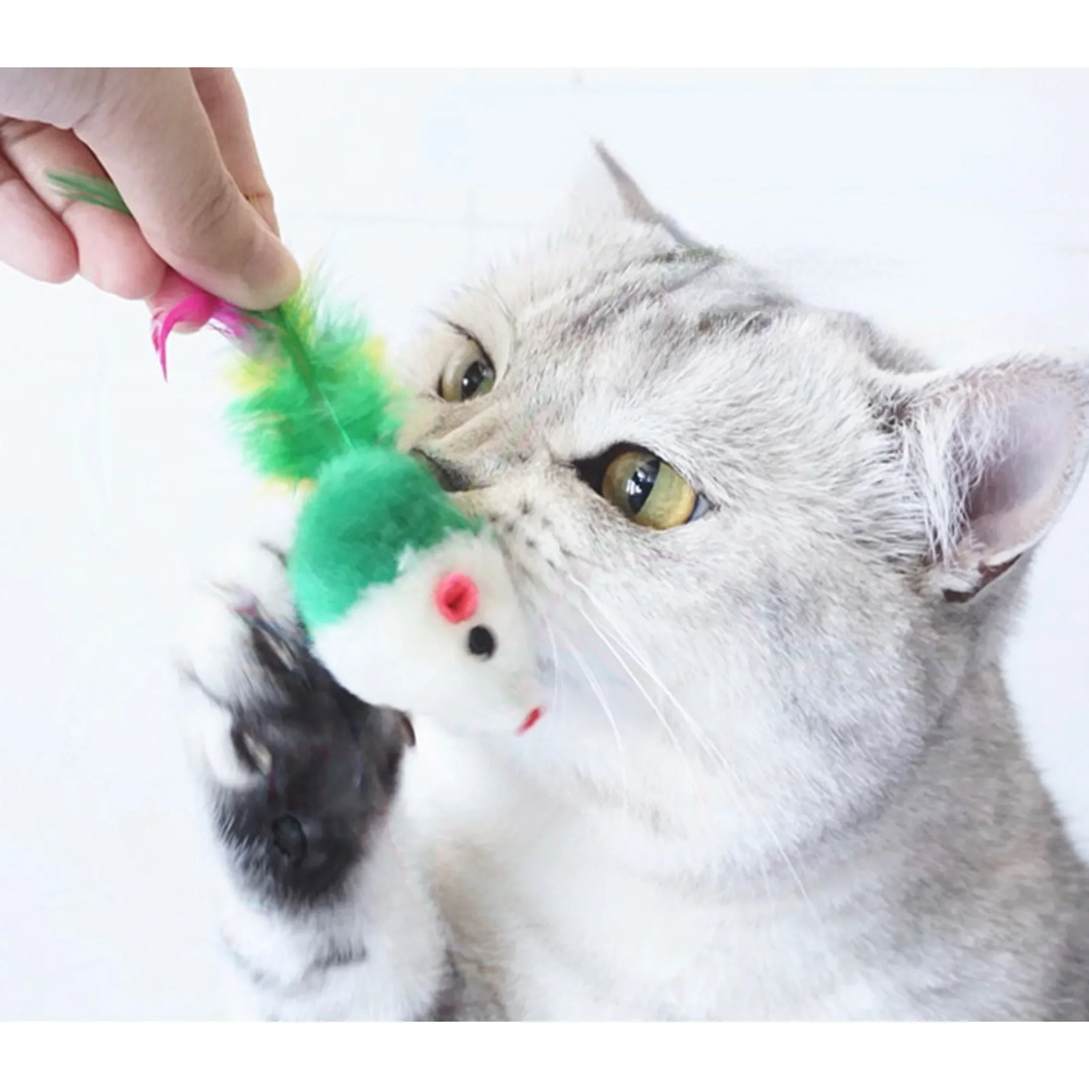 10pc Soft Fleece False Mouse Cat Toys Colorful Feather Funny Playing Toys for Cats Interactive Toys 고양이 장난감 Juguetes Para Gatos