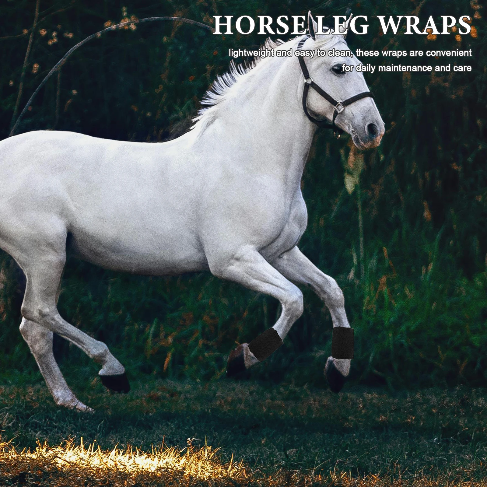 Рисунок 2 - 2-шт. Сапоги для верховой езды