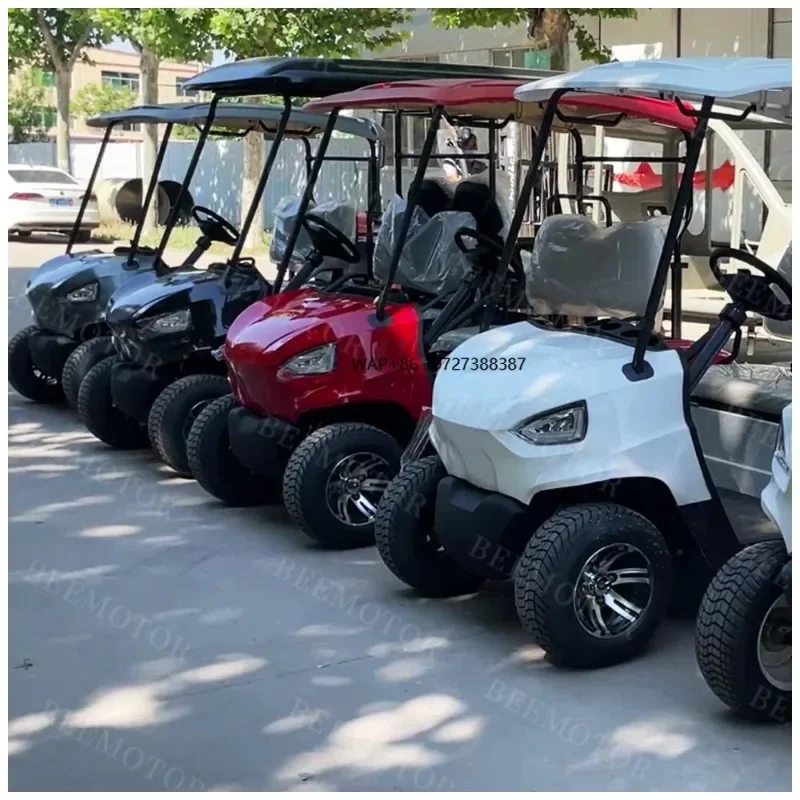 

Factory's New 2-Seater Electric Golf Cart for Sightseeing Hunting Club Golf Courses