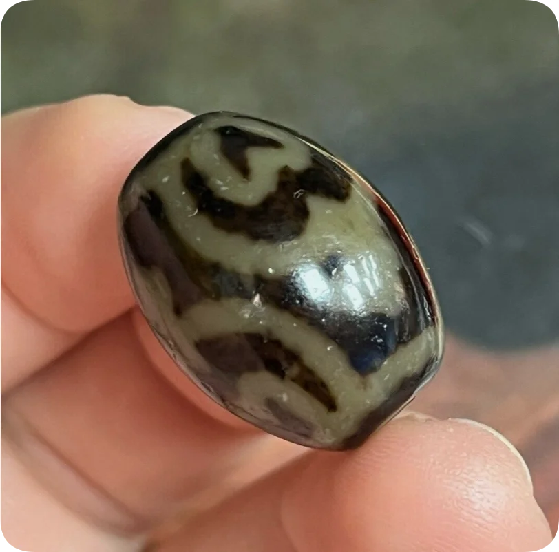 Rare Energy Tibetan Old Oily Agate DZi *Aquarius* Bead Pendant 22mm Z1014