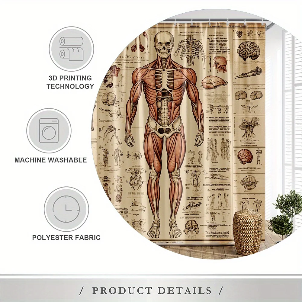 Waterproof Anatomical Human Body Skeleton Science Shower Curtain Diagram Educational Art Poster Bathroom Decoration