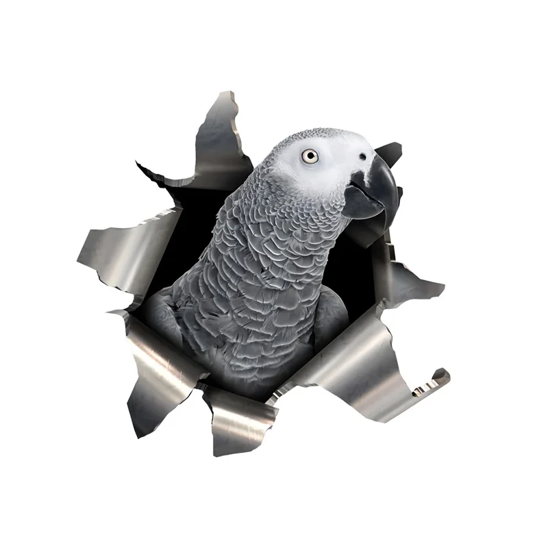 DK469# African Grey Parrot Car Stickers, Weather-Resistant Vinyl Stickers for Windows, Bumper Crafts - PVC Material Vehicle Deca