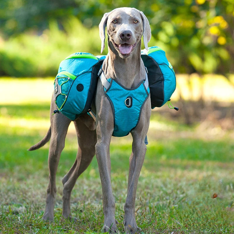 Dog chest backpack back outdoor sports weight vest adjustable chest back pet supplies