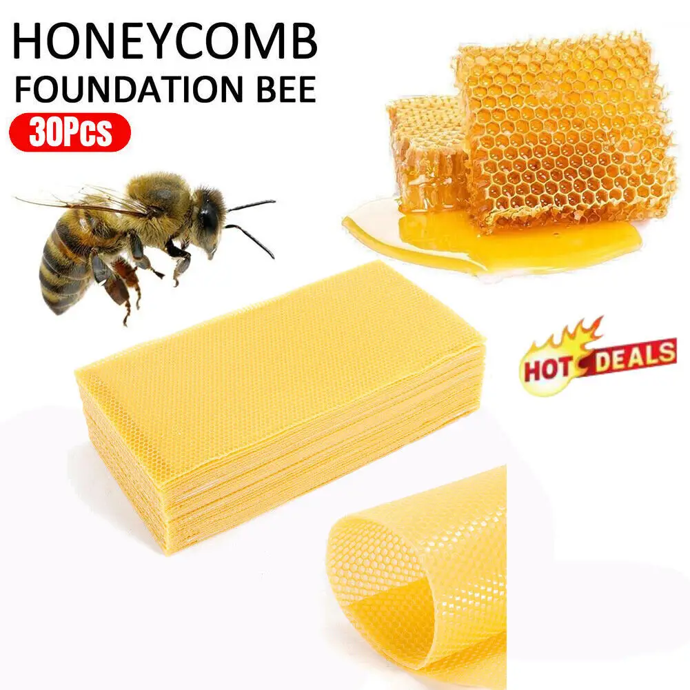 Imagem -02 - Honeycomb Apicultura Fundação Mel Abelha Colmeia Ferramenta 7.7*16.3 Cera Frames 30 Pcs