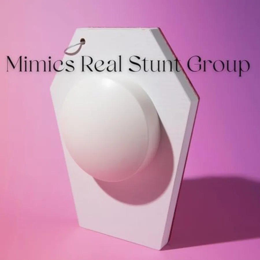 لوح توازن الطيارة للتشجيع لممارسة الحيلة يعزز استقرار القوة الأساسية والتحكم في الجسم #5