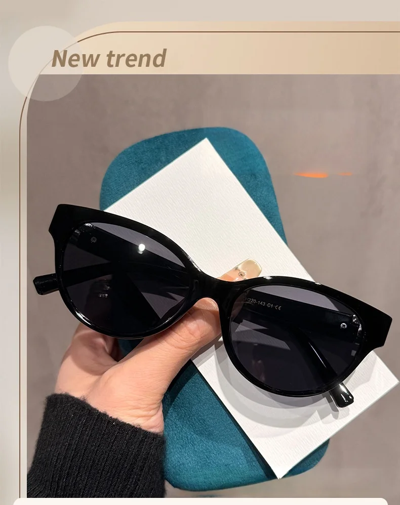 Neue Sonnenbrille im Cat-Eye-Stil mit T-förmigen Bügeln und kleinem Duft für Damen DS-8820 – Detail 1