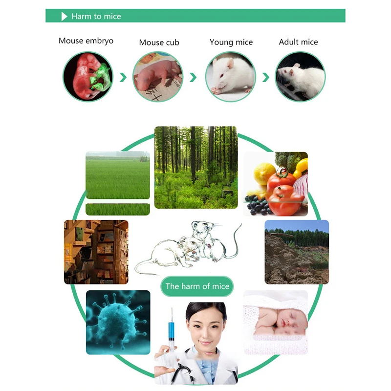 1pc Mause Falle Köder Block Station Box für Fall Mäuse Control Catcher Nagetier Control Falle Sicherheit Wetterfest Für Indoor Outdoor