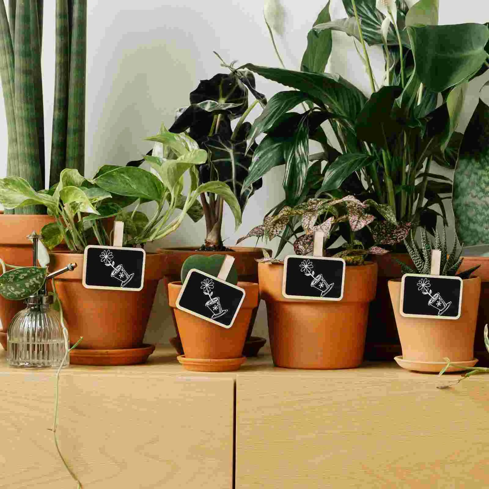 20 Pcs Small Blackboard Clip Signs for Racks Chalk Clips Table Decorations Party Chalkboards Mini