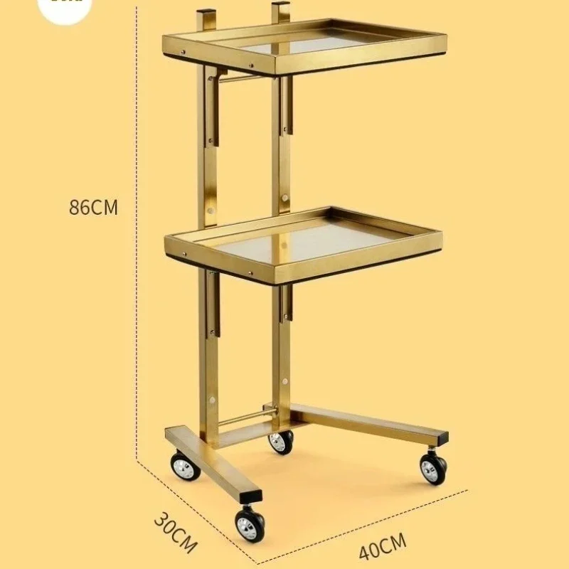 

Salon Hand Cart Organizers Furniture Trolley Strong Load-bearing Simple Design Carrito Auxiliar Spa Cart Pedicure Trolley