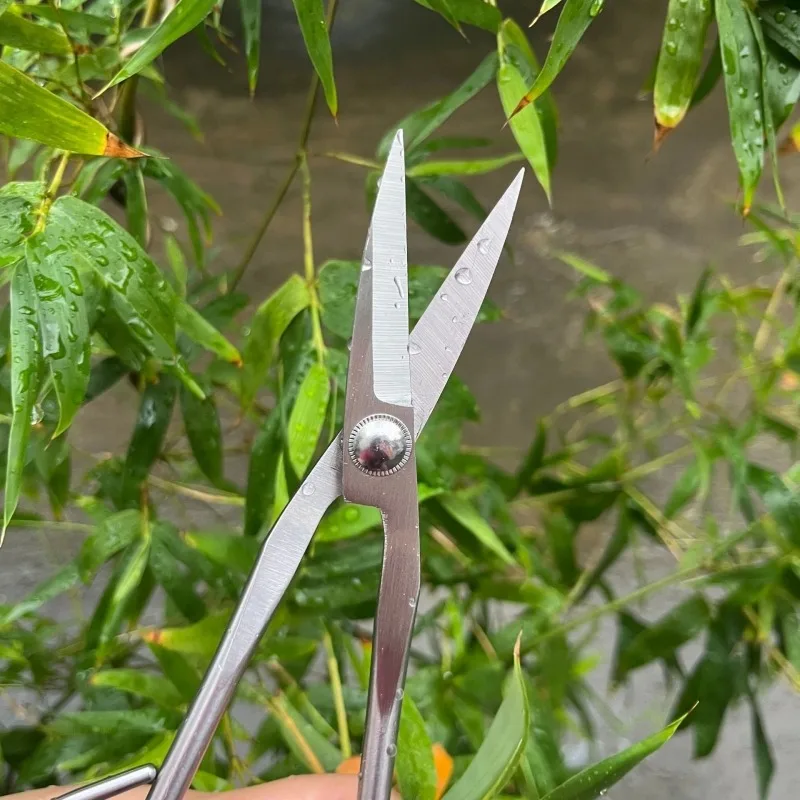 Gunting Daun Muda Alat Bonsai Gunting Cabang Gunting Kebun Baja Tahan Karat yang Dapat Diperpanjang Gunting Pemangkas Tunas Daun Muda