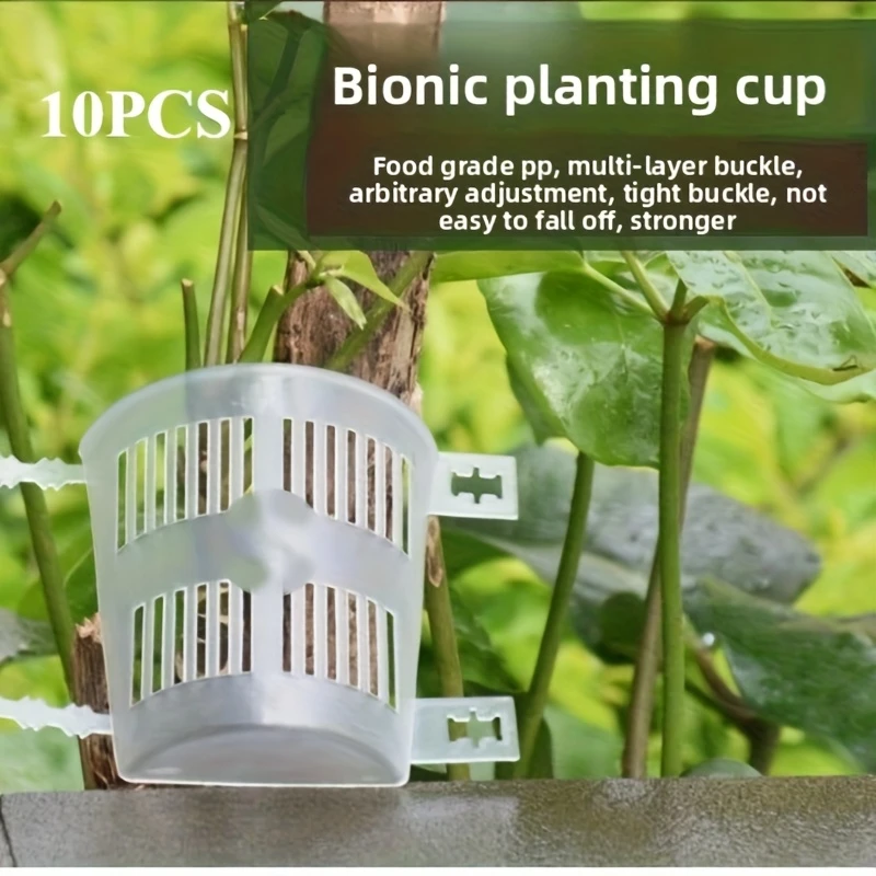 10-шт-панелей-для-посадки-орхидей-с-функцией-контроля-корневой-системы-и-вентиляции-для-выращивания-орхидей