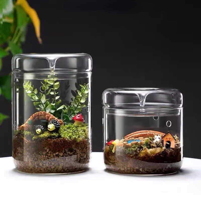 Ecological Glass Bottle Micro Landscape Desktop Plant Moss Jar Closed Cultivation Jug Office Decor Glass Flower Room Container