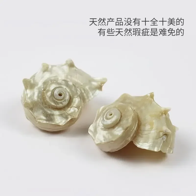 Silver Mouth Round Thorn Snail Natural Conch Shell Hermit Crab Replacement Shell Special Shell