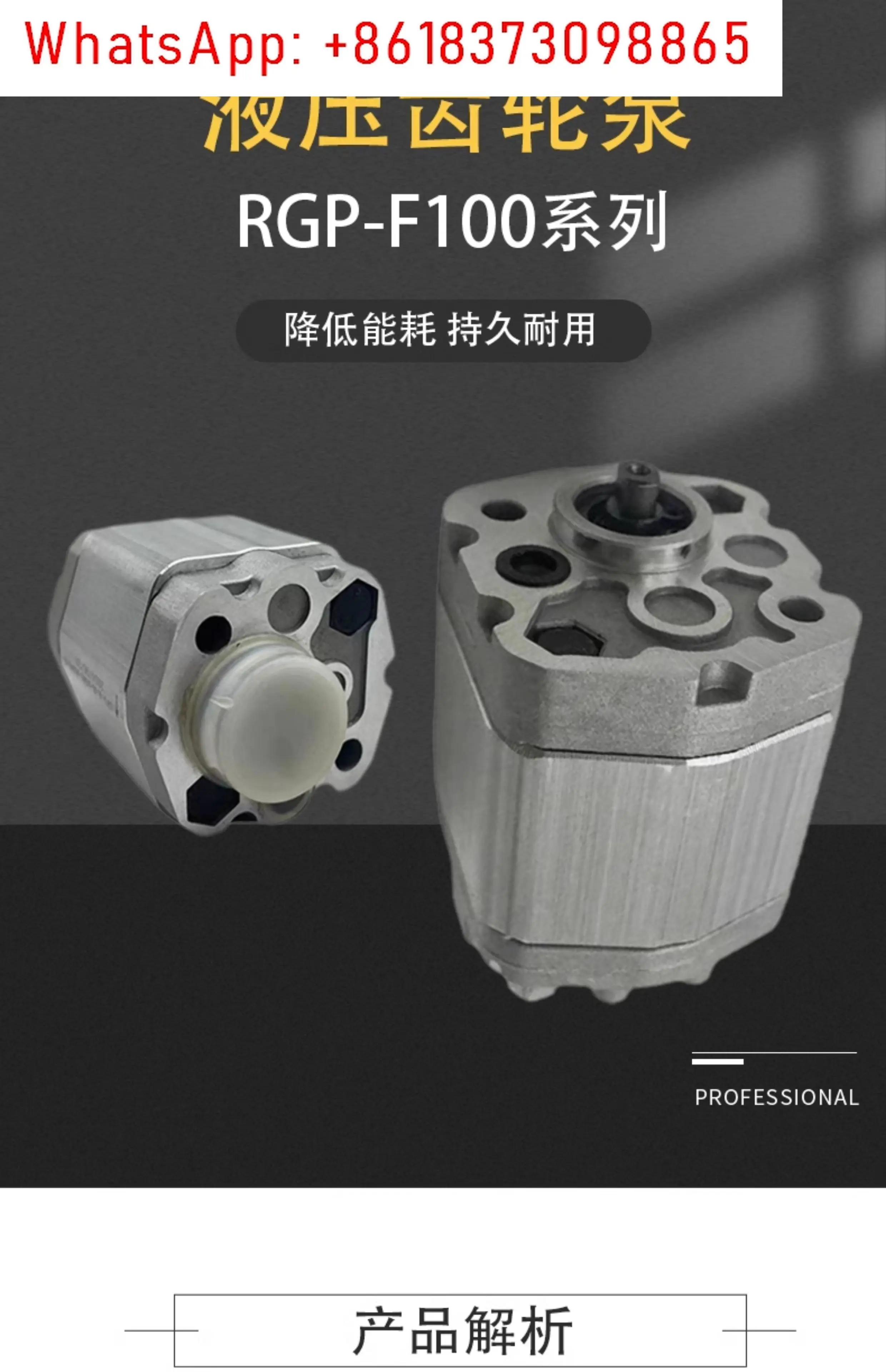 Pompa dell'olio idraulico RGP-F113 RGP-F118 Pompa a ingranaggi idraulica RGP-F106/F116/F180/F121