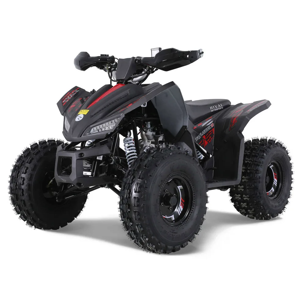 

Atv Utv 4 Door Front Drum Brake New Design Sport 5AH Peace Sports Kids Automatic 125CC 12V 125cc Quad Bike